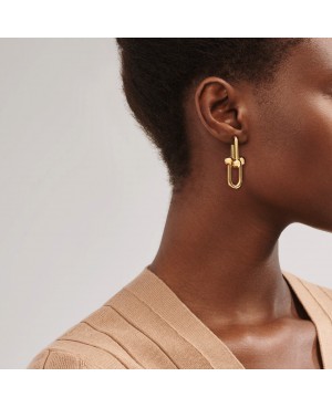 Cercei Tiffany & Co. Link Big Gold